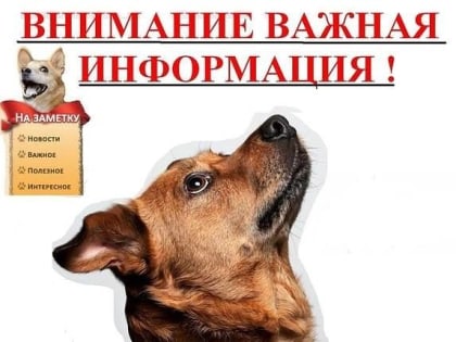 Информация для населения по бешенству