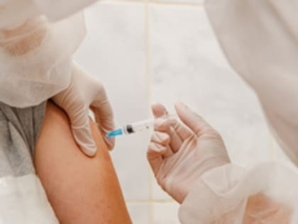 Бесплатная вакцина против клещевого энцефалита для детей и взрослых поступила в Свердловскую область