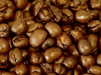 Судмедэксперт о гибели девочки из Каменска-Уральского: «Смерть от передозировки кофеином маловероятна»