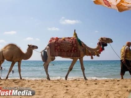 В Египте произошла вспышка неизвестной болезни