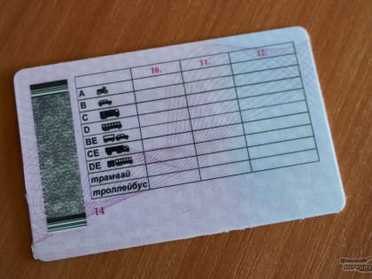 Сложности с вождением: результаты экзаменов в Свердловской области