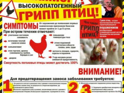 Высокопатогенный грипп птиц!