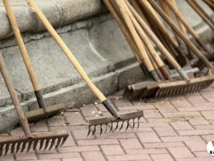 18 тысяч подростков трудоустроят летом в Свердловской области