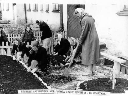 Город, одетый в зеленый наряд