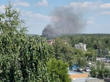 Екатеринбуржцев переполошил пожар в ЦПКиО