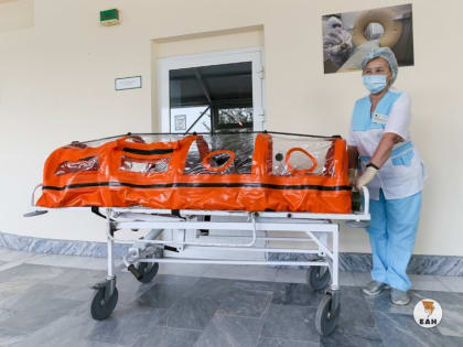 Уральский врач объяснил, почему коронавирус часто мутирует