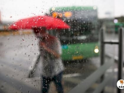 Жара и грозы: синоптики рассказали об июльской погоде на Урале