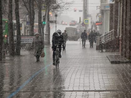 Выходные в Екатеринбурге будут теплыми, дождливыми и туманными
