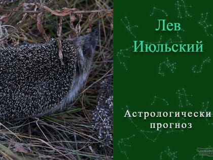 Добро можно делать, а 23 мая можно просто его дарить