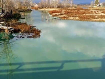 Чиновников обязали почистить пруд в поселке под Нижним Тагилом. А они оспорили это в суде