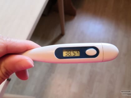 В Свердловской области выявили 83 случая коронавируса за сутки