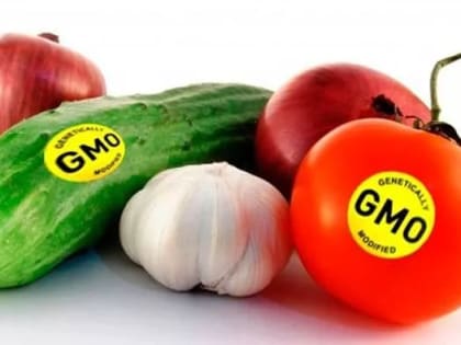 ГМО в продукции.