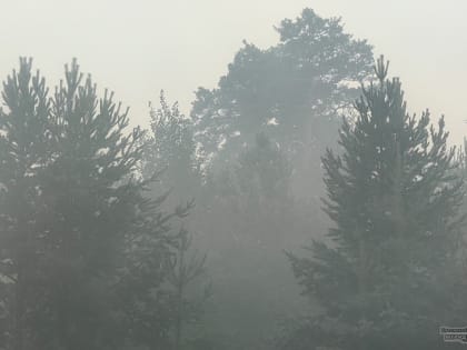 В Свердловской области из-за НМУ усилится риск смога и отравления воздуха