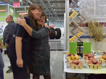 «Аляска» паразитам не по зубам: уральские селекционеры создали устойчивый к фитофторе картофель