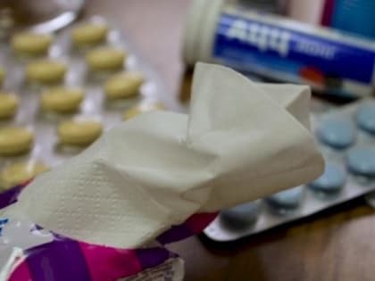 Заболеваемость ОРВИ в Свердловской области вновь пошла в рост