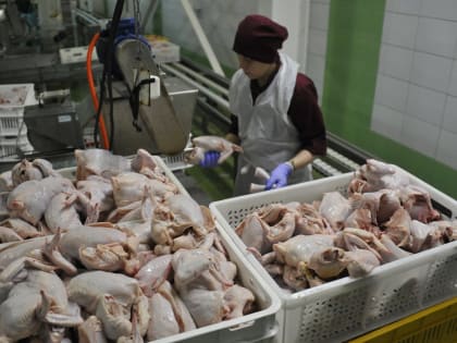 Экспорт свердловских продуктов и сельскохозяйственного сырья вырос на 25%