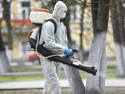 Придомовые территории обрабатываем по графику