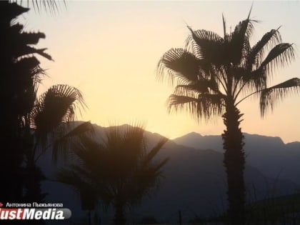 В Таиланде отменили проверку сертификатов о вакцинации COVID-19 у туристов