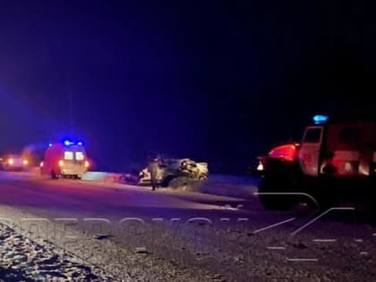 На Пермском тракте погибла полевская школьница