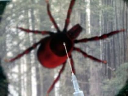 Весенние праздники на природе: как уберечься от клещей