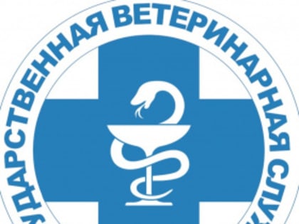 Согласно протоколу заседания