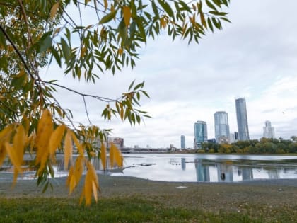 До 0 градусов похолодает в Свердловской области
