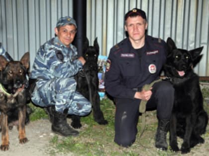 Джоди, Зорг и Нори покажут журналистам и блогерам, как умеют задерживать вооруженных преступников, искать наркотики и взрывчатку