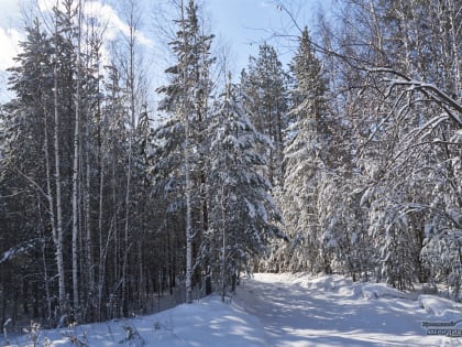 Зимняя погода придёт в Свердловскую область 17 ноября