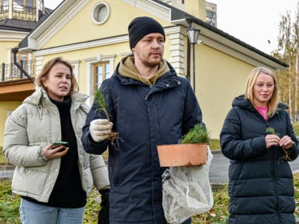 Экологическая инициатива: Кедры в Нижнем Тагиле