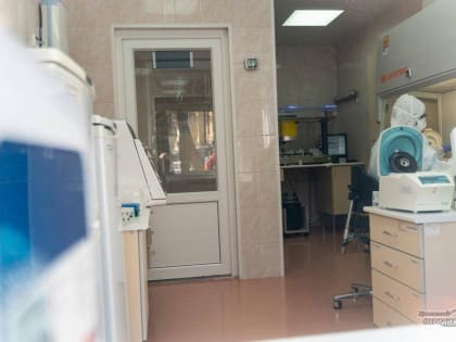 Роспотребнадзор выявил в Нижнем Тагиле тридцать пять случаев укусов клещей среди детей