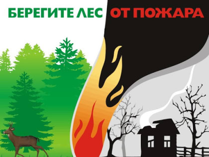 Первые нарушения правил пожарной безопасности в лесах выявили лесные инспекторы на Среднем Урале