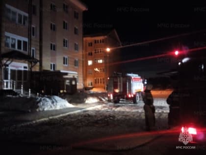 В Каменске-Уральском на Мичурина произошёл пожар