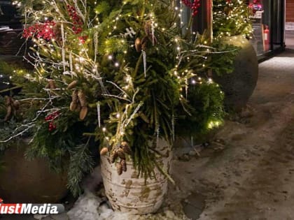 «Морозы потихоньку отступают». В Екатеринбурге -16 градусов