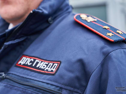 ГИБДД Екатеринбурга проверит видео женщины-блогера с ребёнком за рулём