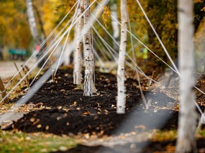 У жителей Екатеринбурга появится новая аллея в честь учителей
