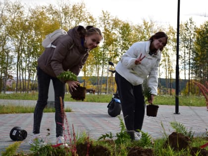 Краснотурьинские студенты — в общественно значимом труде