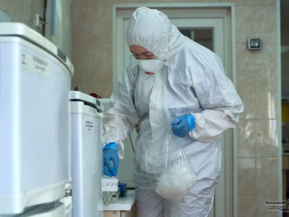 Роспотребнадзор выявил в Екатеринбурге пять случаев заболевания норовирусом среди клиентов «У Аро»