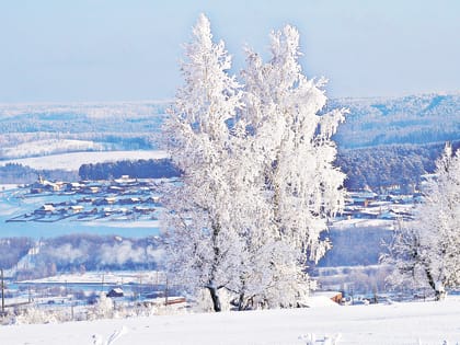 С Рождеством Христовым!