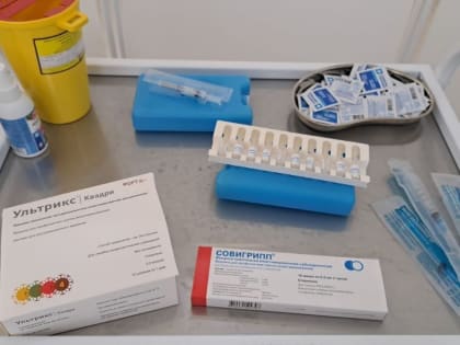 Два вида вакцины против гриппа привезли в Каменск-Уральский