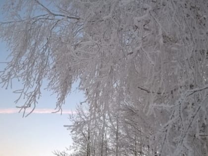 Морозы задержатся в Екатеринбурге на неделю