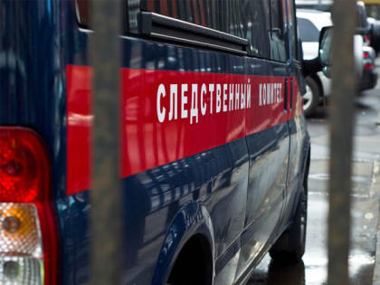 Бастрыкин требует представить доклад о девочке, обожжённой в детсаду Нижнего Тагила