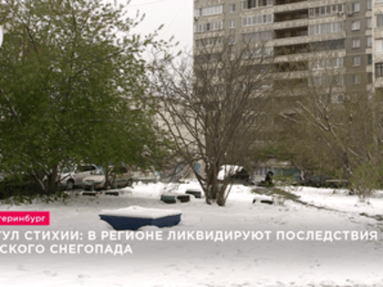 Разгул стихии: в регионе ликвидируют последствия майского снегопада