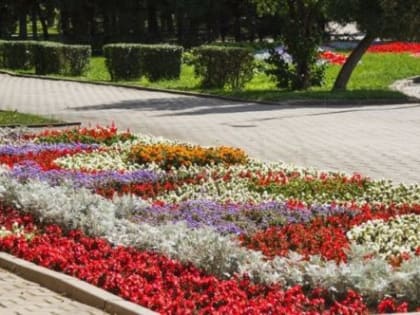 В Качканаре нужны цветы