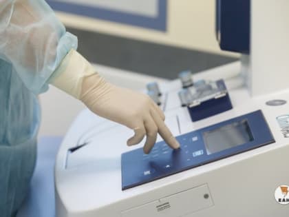 Роспотребнадзор встревожен из-за нового вируса, который передают летучие мыши