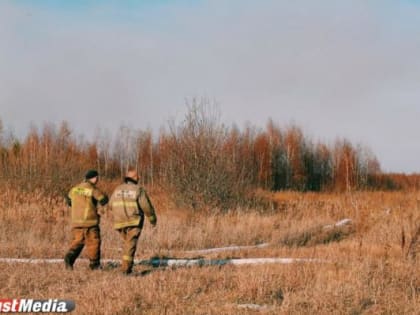 В Свердловской  области начинаются масштабные учения Всероссийского студенческого корпуса спасателей