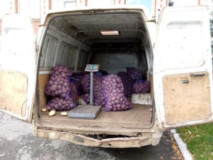 В Сысерти прошла ярмарка