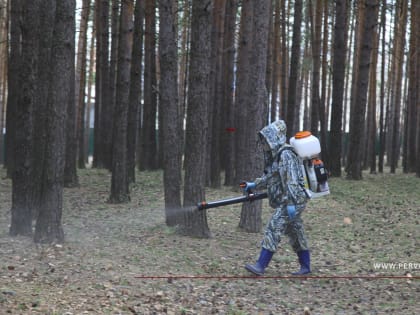 Территорию «Парка новой культуры» обработали от клещей