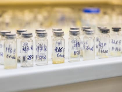 Уральские ученые вместе с коллегами из Индии синтезировали новое вещество для лекарства от болезни Альцгеймера