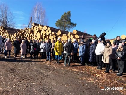 Протест против карьера под Нижним Тагилом вылился на улицу
