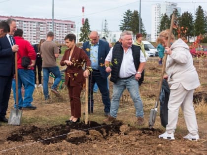 В Нижнем Тагиле к 100-летию Роспотребнадзора высадили аллею из 100 саженцев